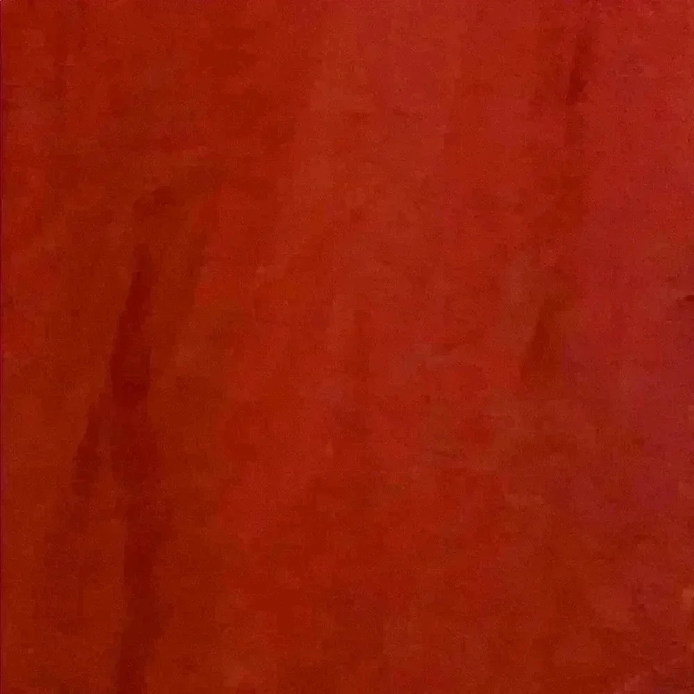 Lush Tunic Top - image 3